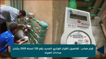 قرار صادر.. تفاصيل القرار الوزاري الجديد رقم 120 لسنة 2025 بشأن عدادات المياه